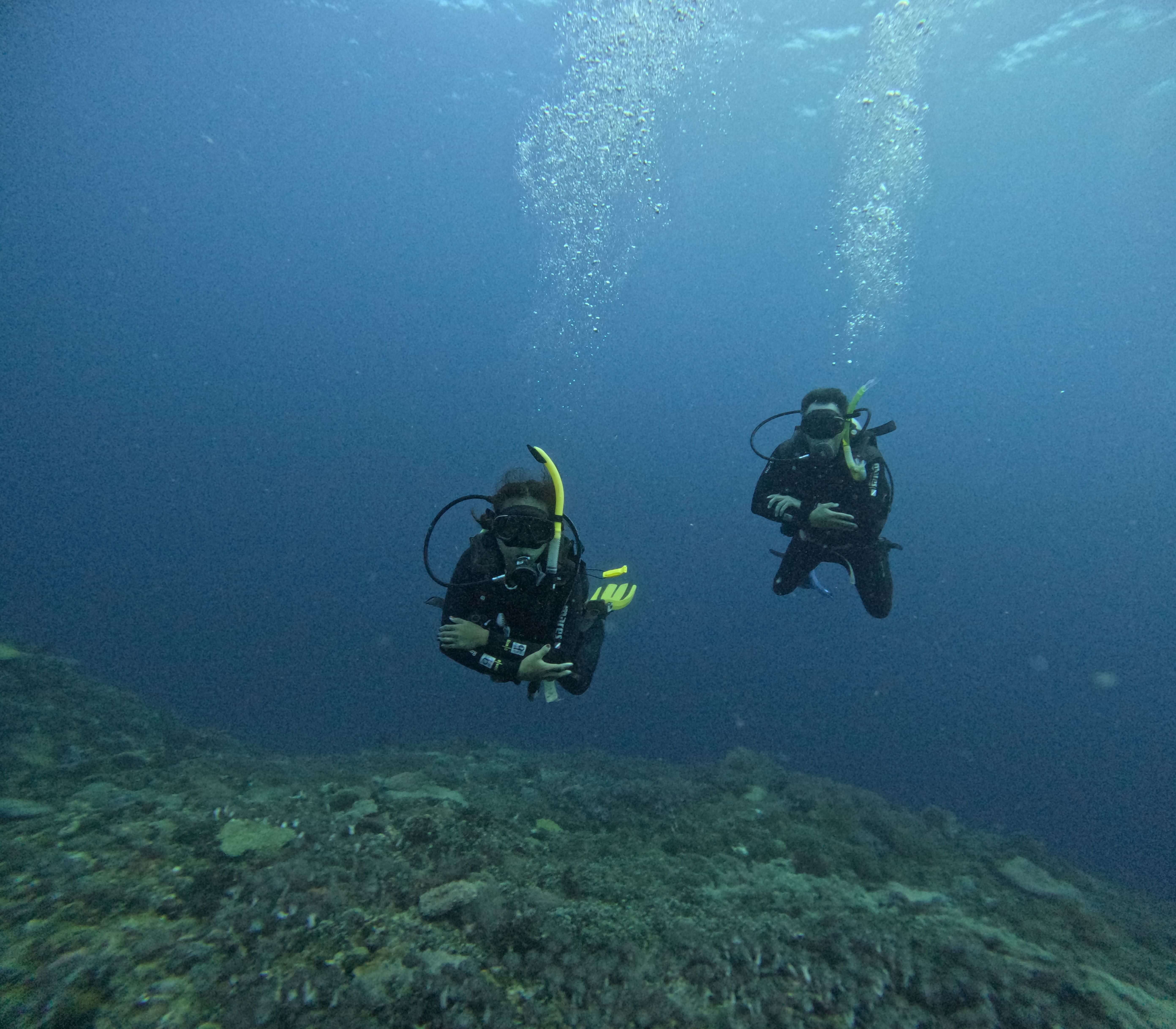 Two scuba divers exploring reef at Malapascua Island dive site Cebu Philippines