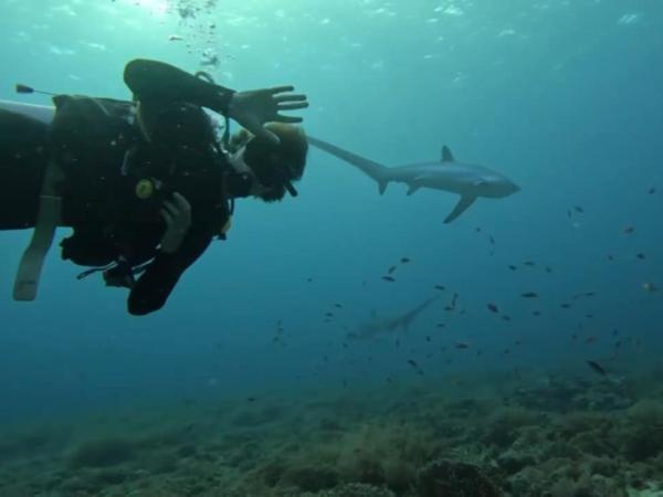 Scuba Diving Malapascua Island, Malapascua Diving Adventures, Scuba Diving Malapascua