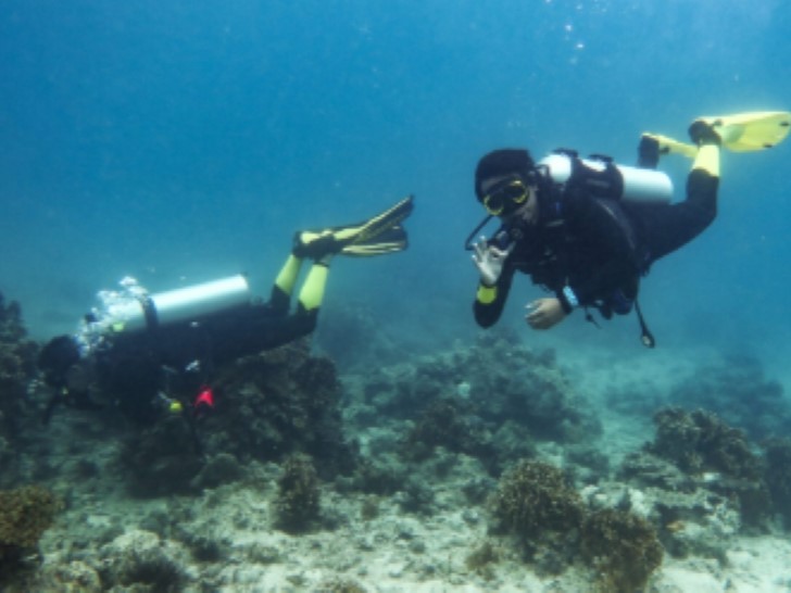 Diving Malapascua