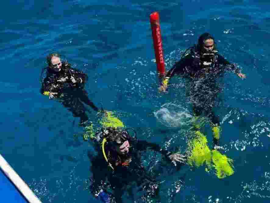 Thresher Shark Malapascua, Malapascua Diving, Scuba Diving Malapascua